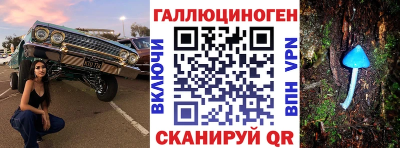 Псилоцибиновые грибы Psilocybine cubensis  hydra ТОР  Кизилюрт 