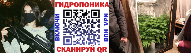 Бошки марихуана OG Kush  где купить наркоту  Кизилюрт 